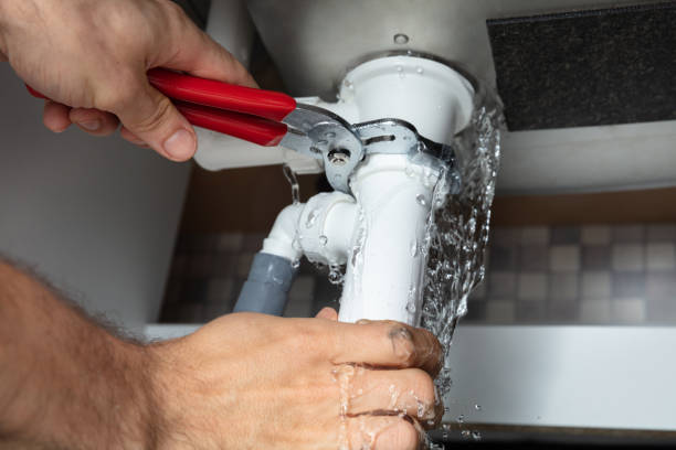 Best Water damage mitigation services  in Ness City, KS