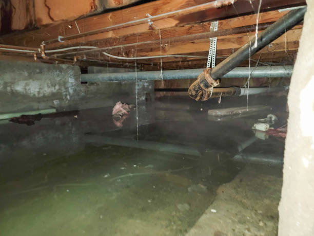 Water damage restoration process in KS