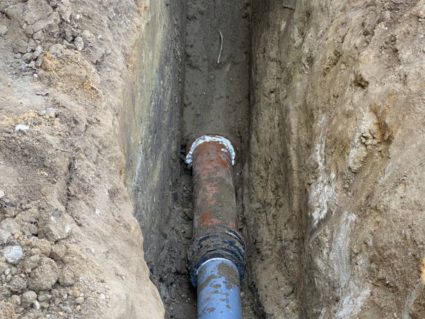 Best Sewage cleanup and water damage restoration  in Ness City, KS