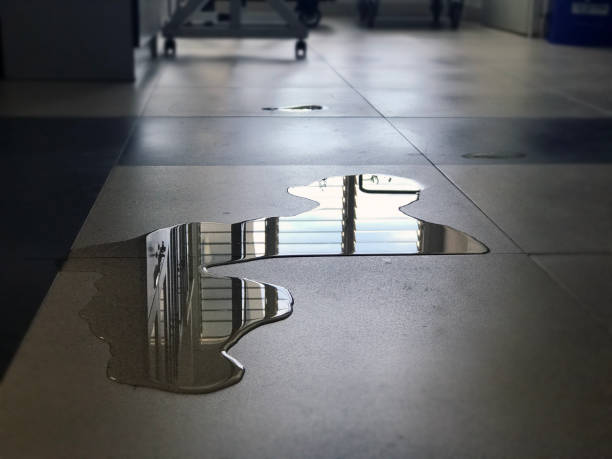 Best Water damage restoration near me  in Ness City, KS