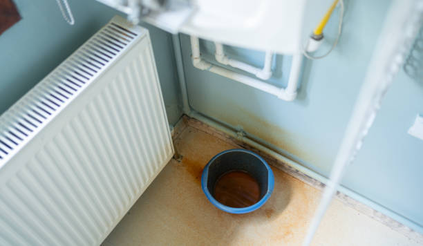 Best Mold removal after water damage  in Ness City, KS