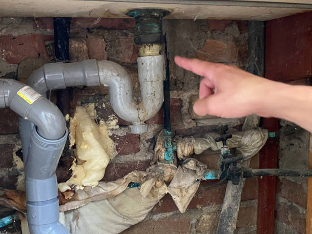 Best Water damage cleanup near me  in Ness City, KS